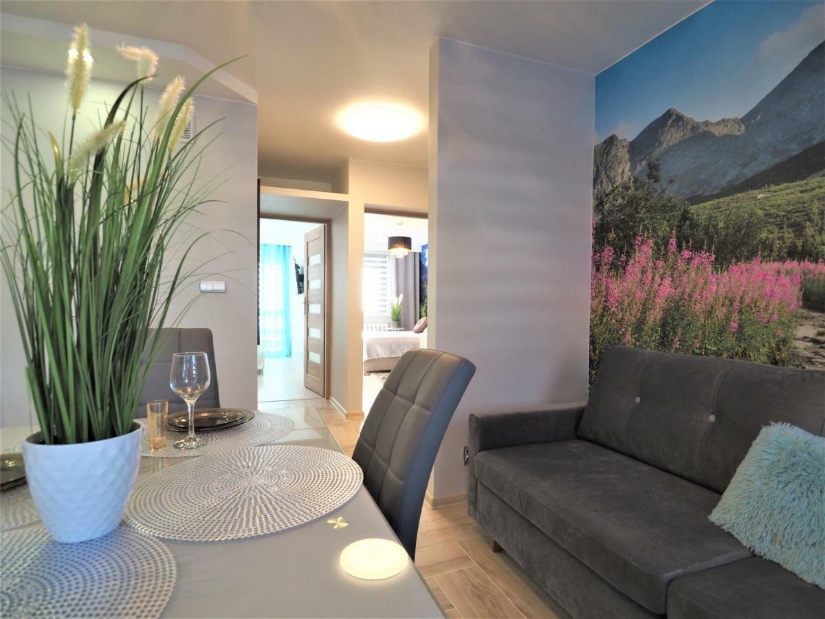 Vip Apartamenty Kasprusiowy Zakatek Закопане Екстер'єр фото